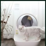 CATLINK SCOOPER Stairway-Grey for Scooper Young
