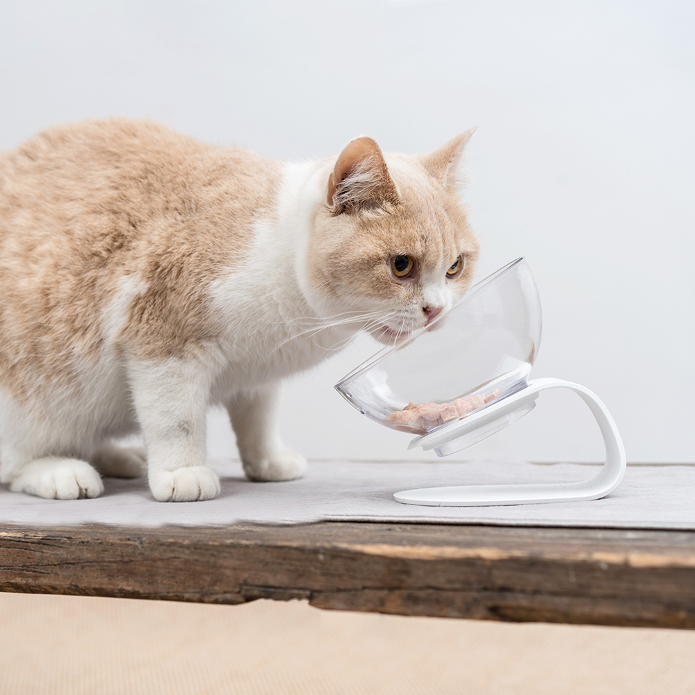 Cat food bowl Raised Cat Bowl