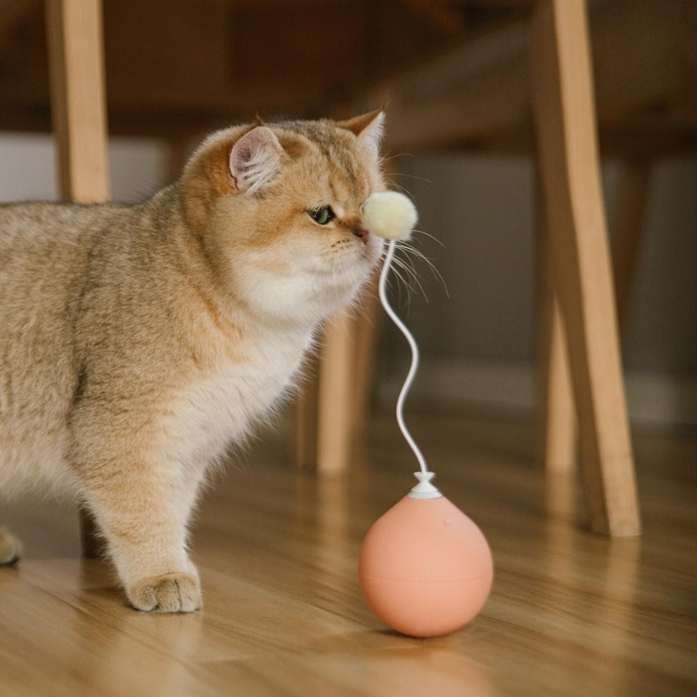 Pink Balloon Cat Toy