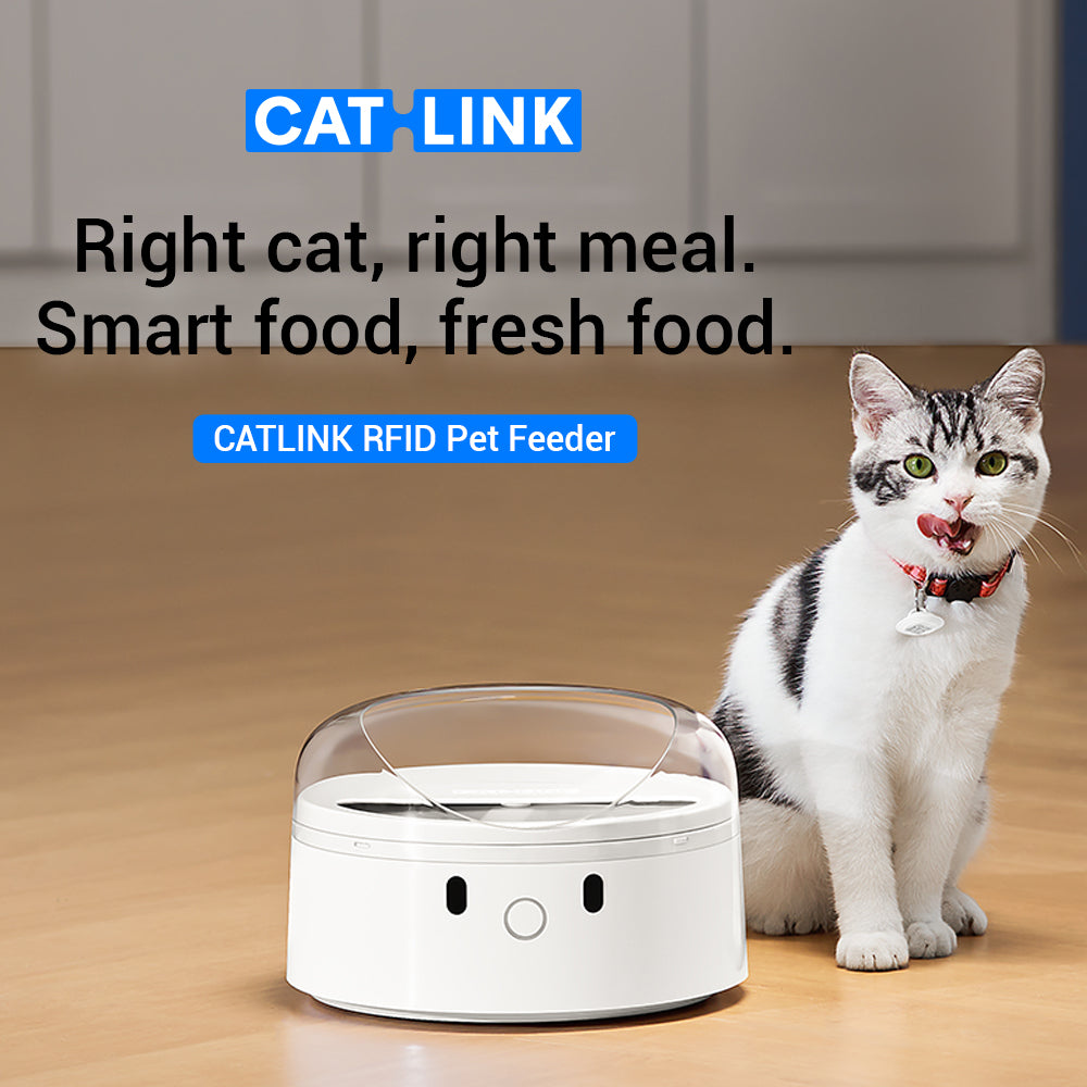 CATLINK F03 RFID Pet Feeder – Standard Version