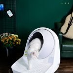 CATLINK SCOOPER Stairway-Grey for Scooper Young