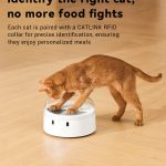 CATLINK F03 RFID Pet Feeder – Standard Version
