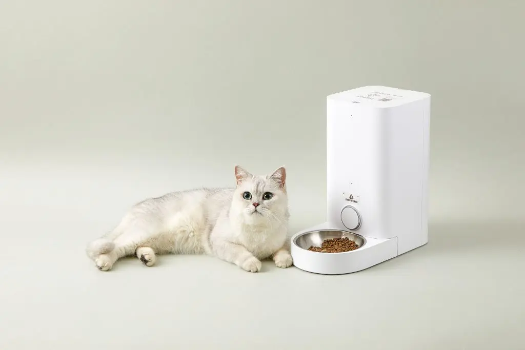 FRESH ELEMENT Mini- Smart Pet Feeder With Stainless Steel Bow
