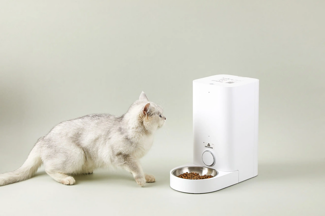 FRESH ELEMENT Mini- Smart Pet Feeder With Stainless Steel Bow