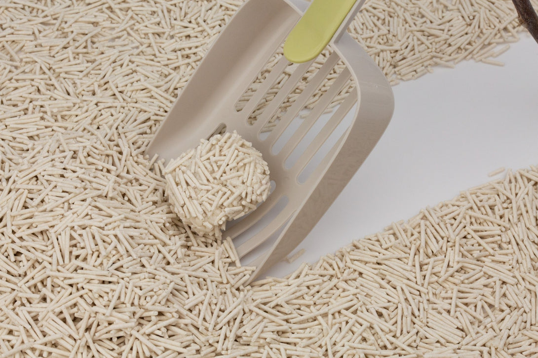 Cute Tabby Tofu Cat Litter Original 6L