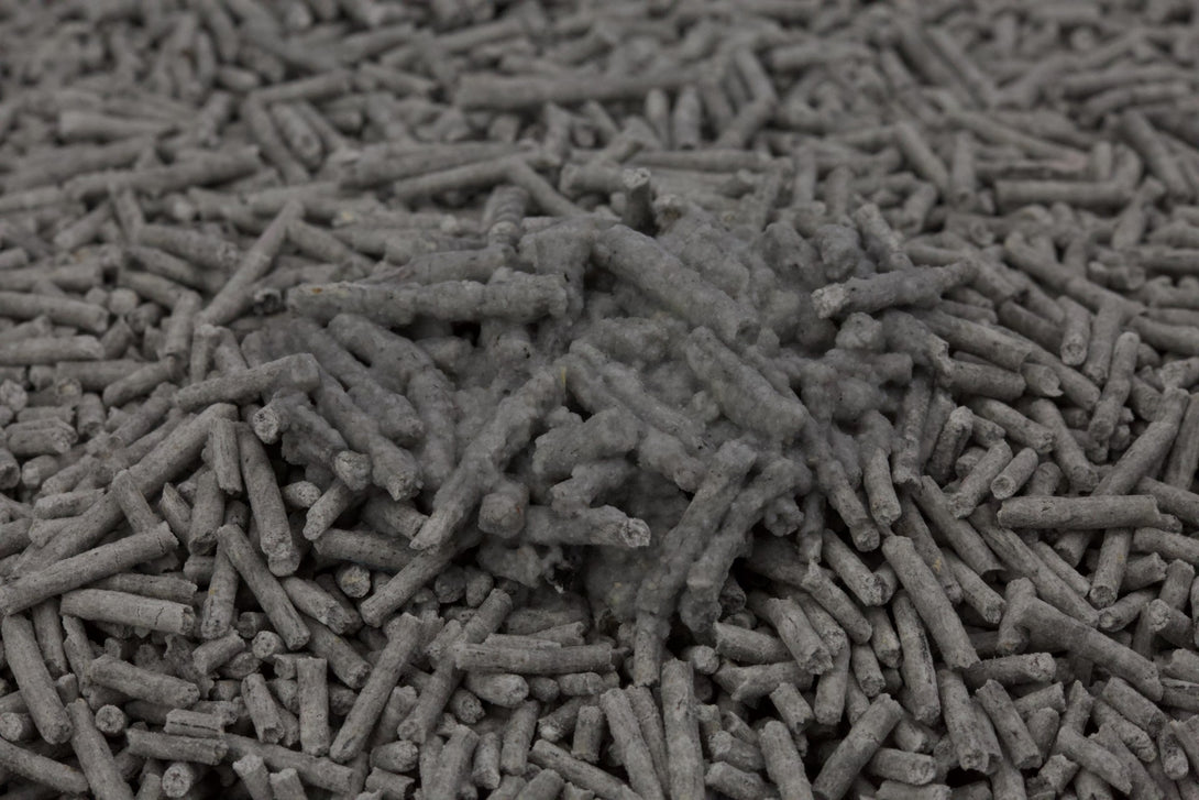 Cute Tabby Tofu Cat Litter Activated Carbon 6L