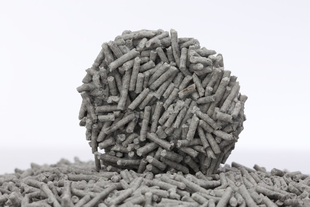 Cute Tabby Tofu Cat Litter Activated Carbon 6L